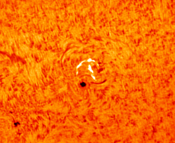 Flare ribbons on 22 Aug 2014 -- images using 40mm Coronado PST and DMK21